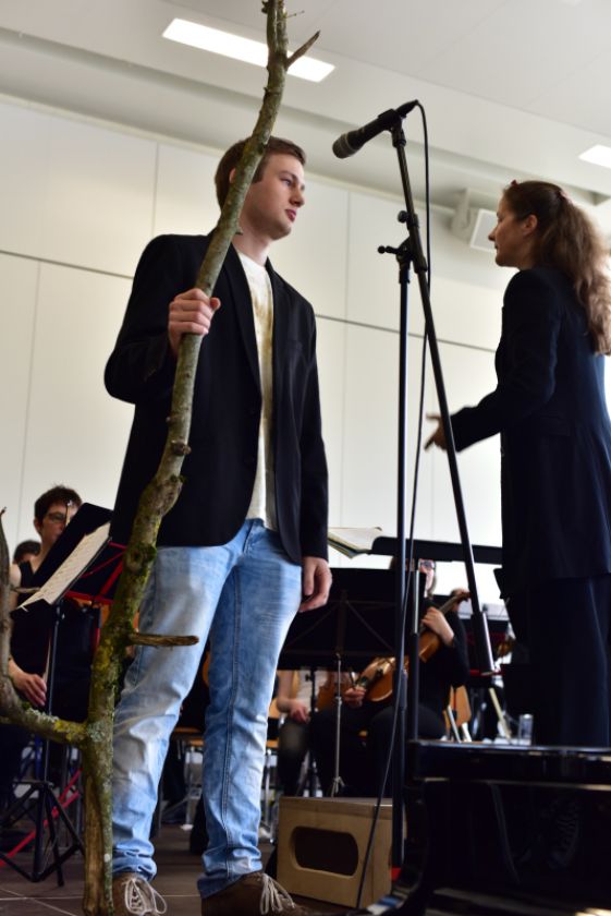 Bild 7