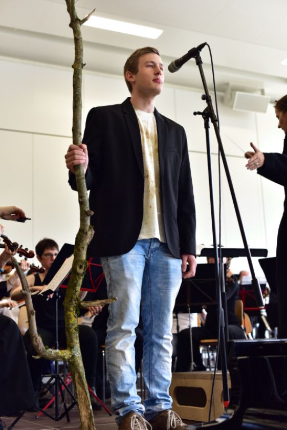 Bild 8