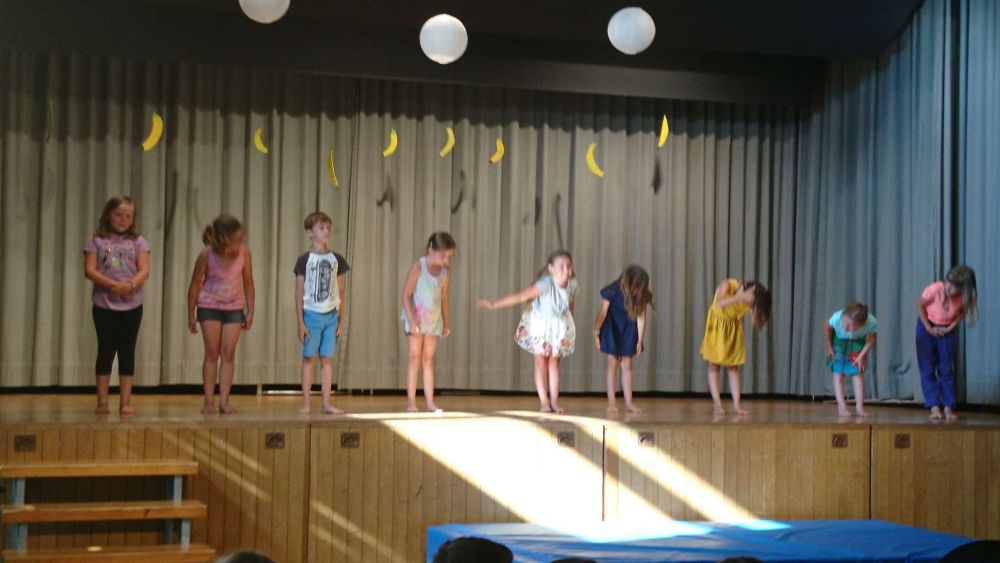 Bild 15